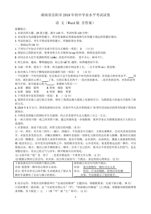 2019年湖南省岳阳市中考语文试题 含答案 