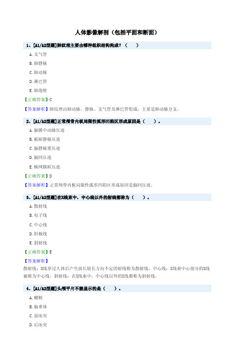 人体影像解剖(包括平面和断面)试题