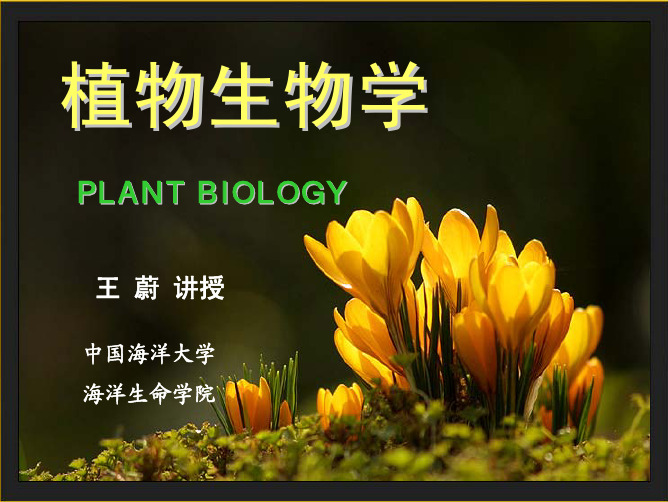 中国海洋大学植物生物学-绪论new