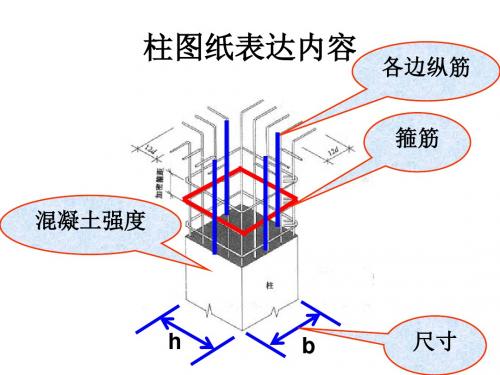 柱配筋图讲解课件