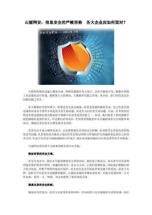 山丽网安:信息安全的严峻形势 各大企业应如何面对?