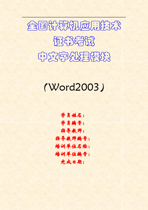 NIT大作业Word2003