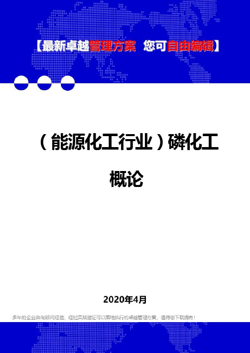 (能源化工行业)磷化工概论