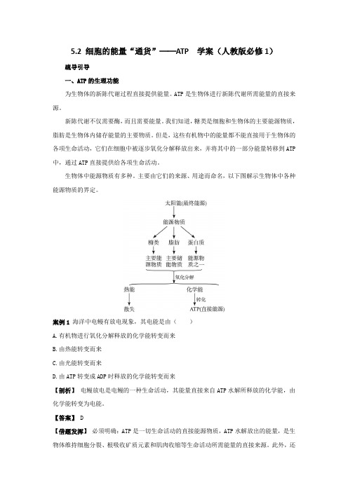 5.2细胞的能量通货──ATP学案1(人教版必修1)