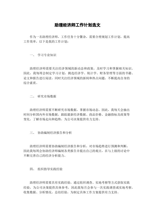 助理经济师工作计划选文