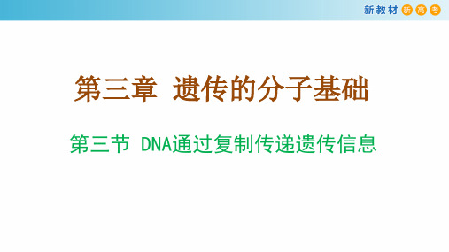 DNA通过复制传递遗传信息