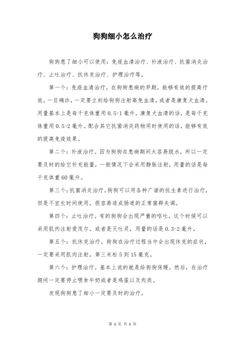 狗狗细小怎么治疗