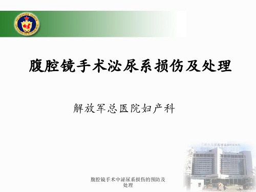 腹腔镜手术中泌尿系损伤的预防及处理课件