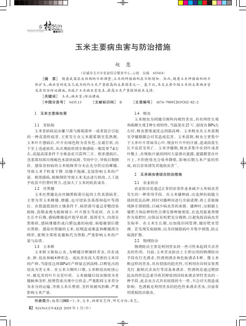 玉米主要病虫害与防治措施