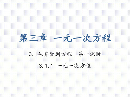 人教版数学七年级上册 3.1.1 一元一次方程 (共27张PPT)