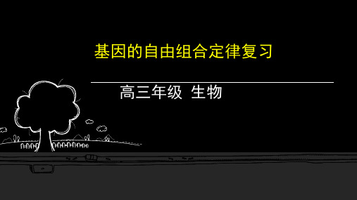 2021届高三生物一轮复习《基因的自由组合定律复习》