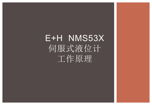 E+H  NMS53X伺服式液位计工作原理