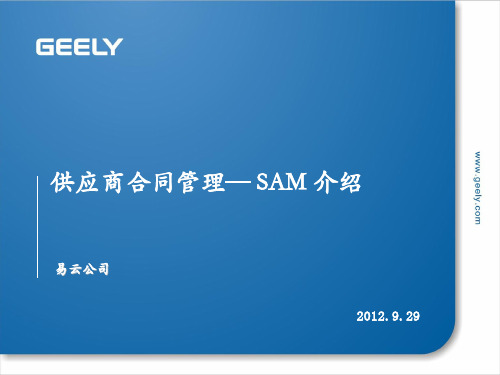 CMMI-SAM介绍