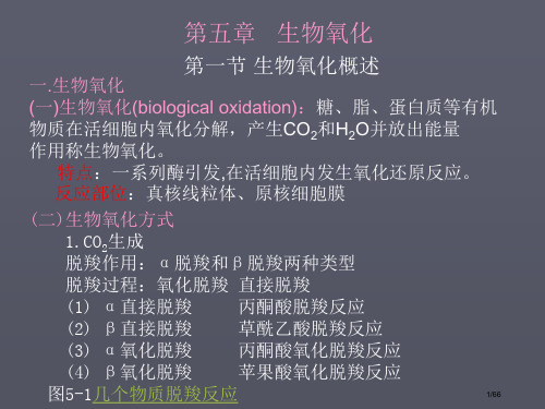 生物化学生物氧化省公开课金奖全国赛课一等奖微课获奖课件