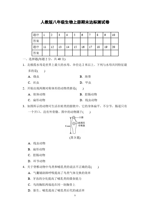 人教版八年级生物上册期末达标测试卷含答案