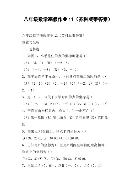 八年级数学寒假作业11苏科版带答案