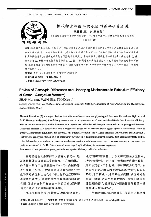 棉花钾营养效率的基因型差异研究进展