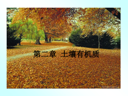 土壤有机质