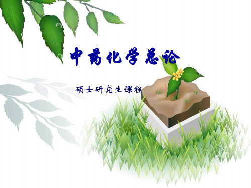 中药化学总论一节课件