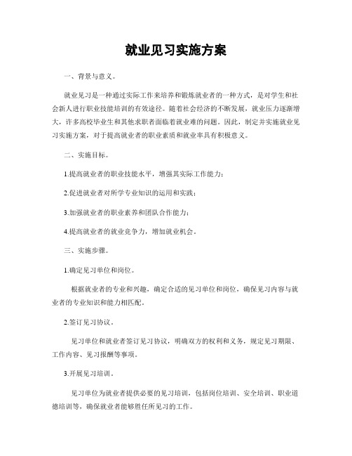 就业见习实施方案