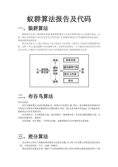 蚁群算法