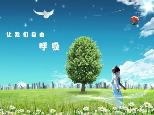 第三节细胞呼吸第一课时