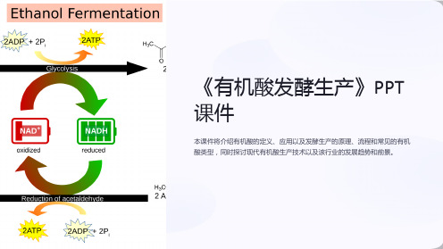 《有机酸发酵生产》课件