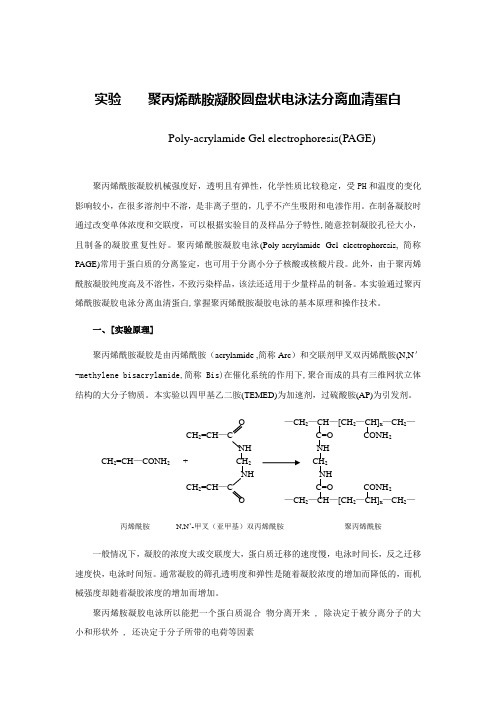 试验聚丙烯酰胺凝胶圆盘状电泳法分离血清蛋白