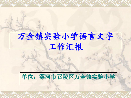 万金镇实验小学语言文字汇报2018幻灯片课件