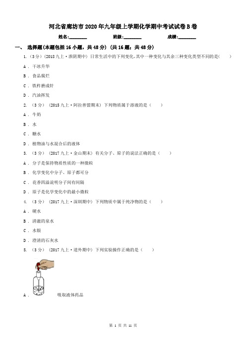 河北省廊坊市2020年九年级上学期化学期中考试试卷B卷