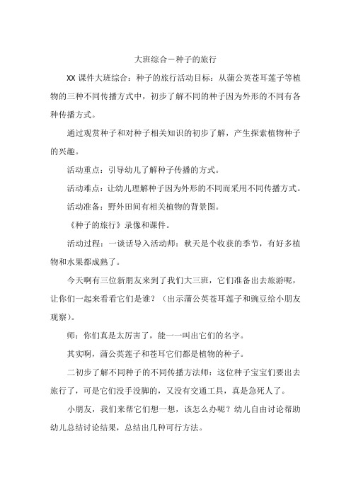 大班综合-种子的旅行