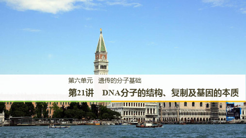 2020高考生物一轮复习课件:第六单元 第21讲 DNA分子的结构、复制及基因的本质