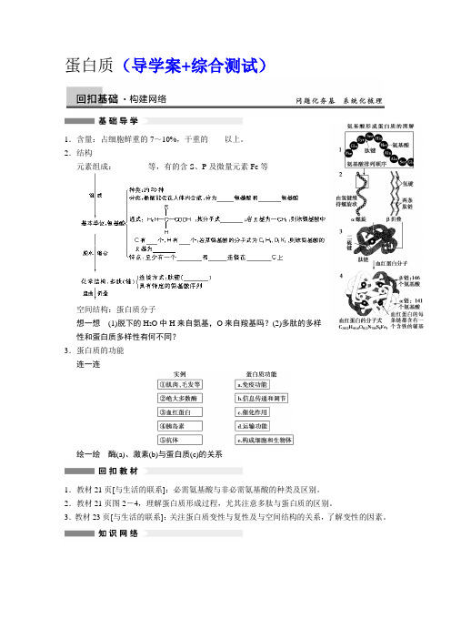 2014届高三生物一轮复习(学案+测试)--生命活动的承担者--蛋白质(新人教版)