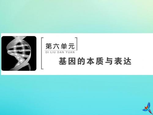 2020版高考生物一轮复习第18讲基因的表达课件新人教版