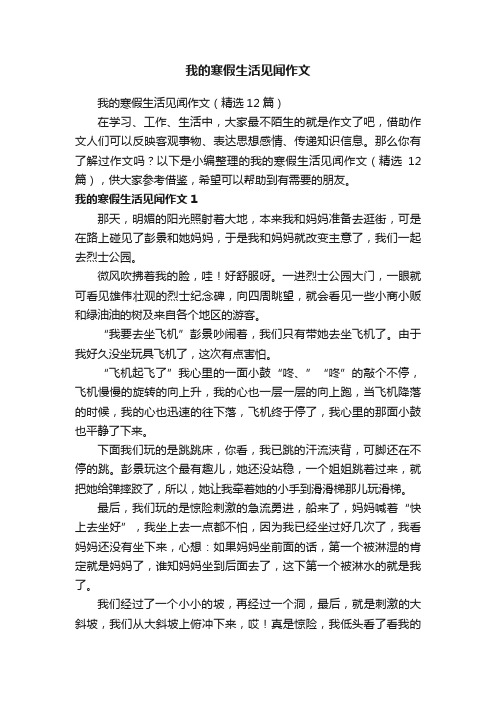 我的寒假生活见闻作文