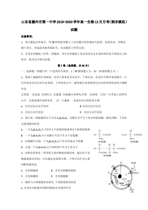 山东省滕州市第一中学2019_2020学年高一生物12月月考(期末模拟)试题