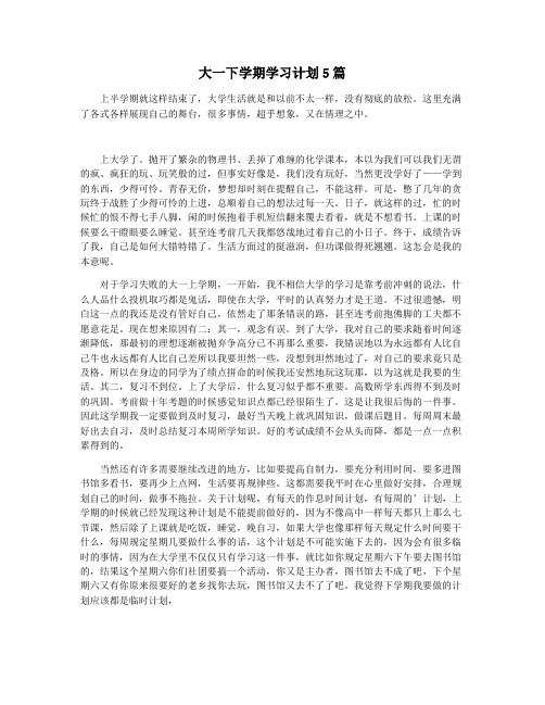 大一下学期学习计划5篇