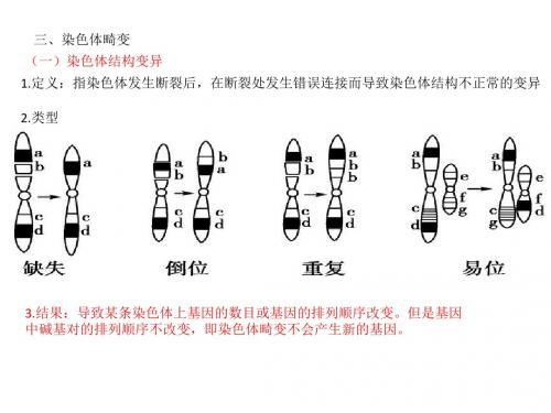 生物变异的来源