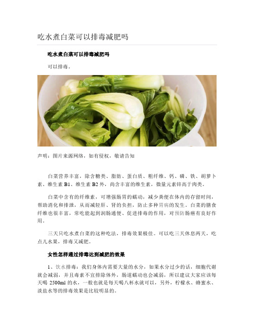 吃水煮白菜可以排毒减肥吗