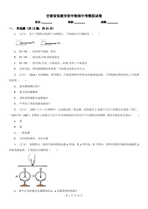 甘肃省张掖市初中物理中考模拟试卷