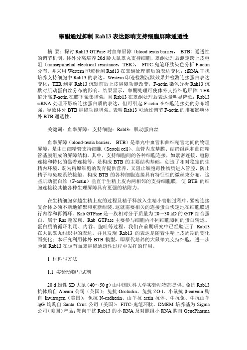 睾酮通过抑制Rab13表达影响支持细胞屏障通透性