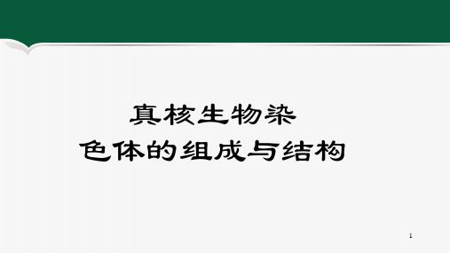 真核生物染色体的组成与结构