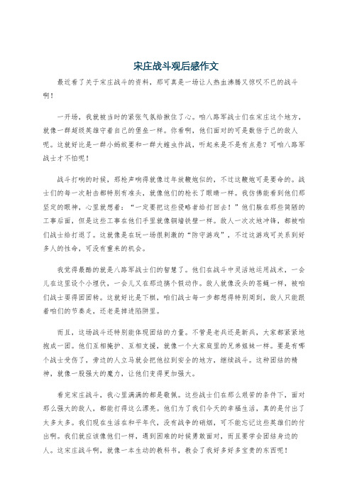 宋庄战斗观后感作文