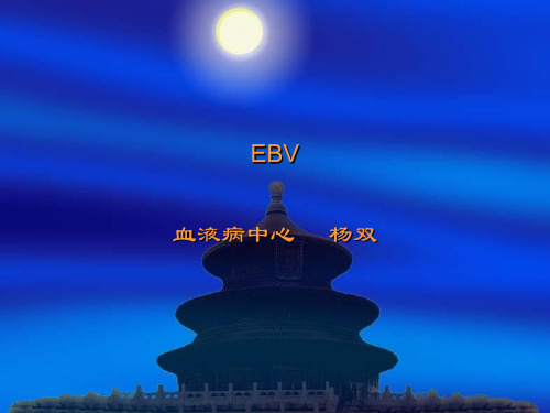 EB病毒感染相关性疾病