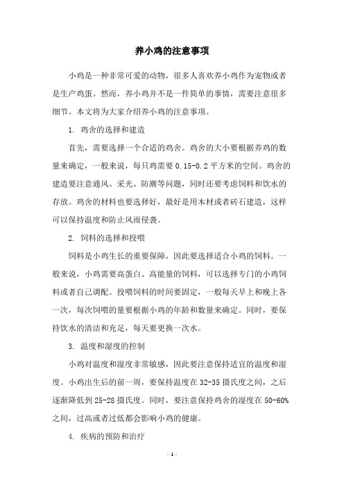 养小鸡的注意事项