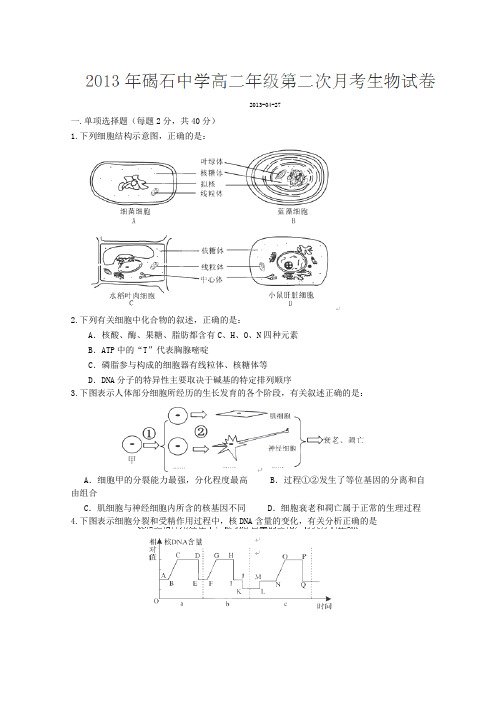 广东省陆丰市碣石中学2012-2013学年高二下学期第二次月考生物试题
