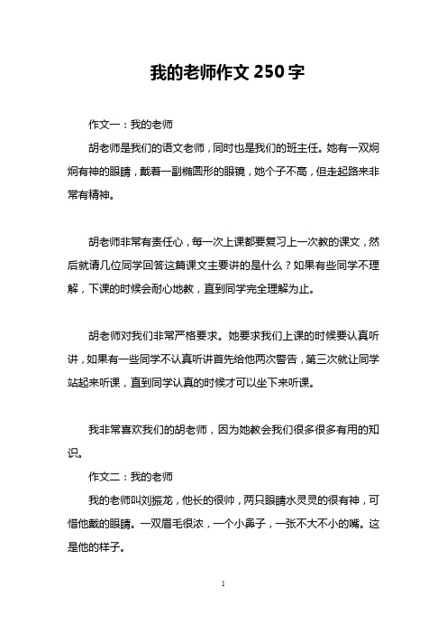 我的老师作文250字