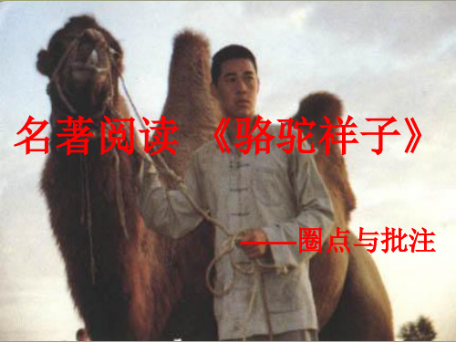 《骆驼祥子》:圈点与批注