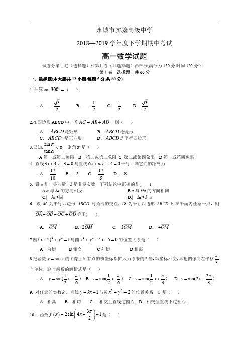 河南省永城市实验高级中学2018——2019学年度下学期期中考试 ——数学