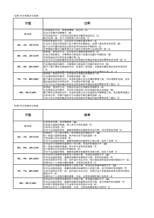 卓越绩效评分表-'过程'及'结果'